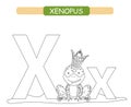 Letter X and funny cartoon xenopus. Coloring page. Animals alphabet a-z. Cute zoo alphabet in vector for kids learning English voc Royalty Free Stock Photo